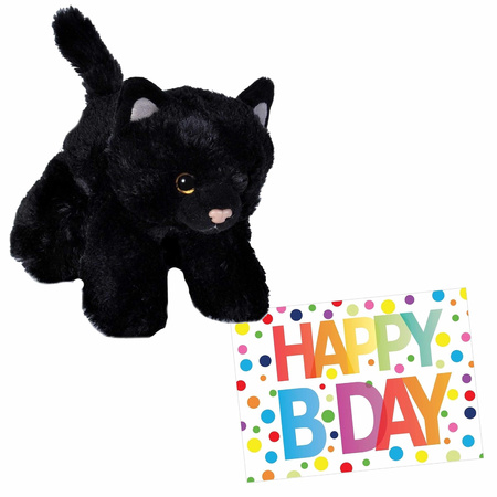 Pluche knuffel kat/poes zwart 18 cm met A5-size Happy Birthday wenskaart