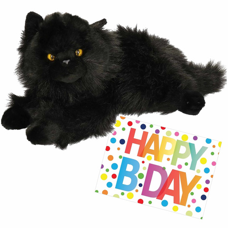 Pluche knuffel kat/poes zwart 30 cm met A5-size Happy Birthday wenskaart