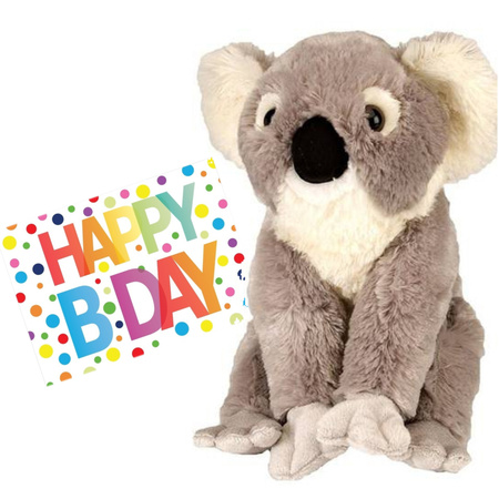Pluche knuffel koala beer 30 cm met A5-size Happy Birthday wenskaart