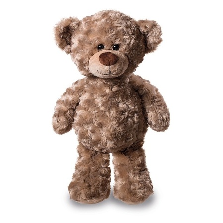 Pluche teddybeer / beren knuffel met liefste papa t-shirt 24 cm