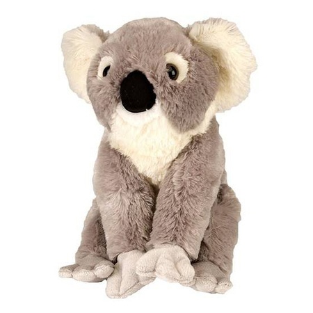 Plush soft toy koala bear 30 cm with an A5-size Happy Birthday postcard