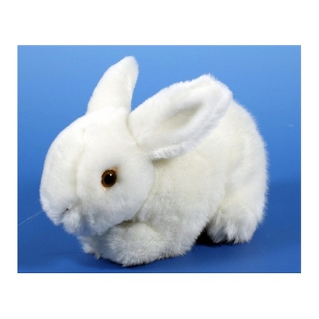 Setje van 2x stuks pluche knuffel konijnen van 20 cm