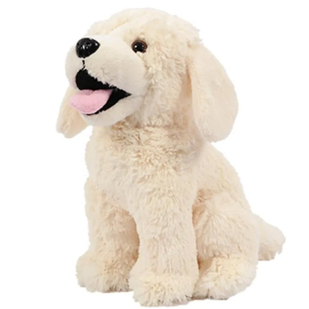 Plush soft toy animal labrador dog 20 cm and Happy Birthday postcard