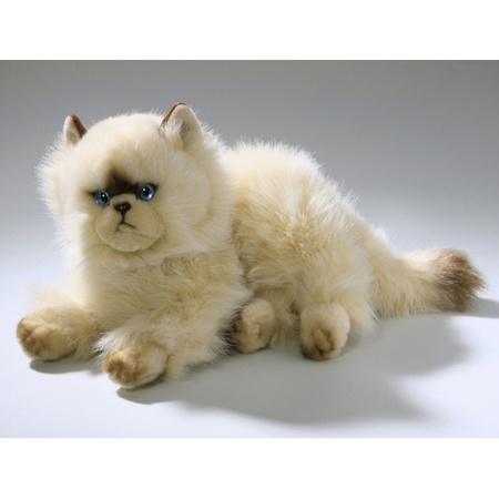 Knuffel kat persisch van 30 cm
