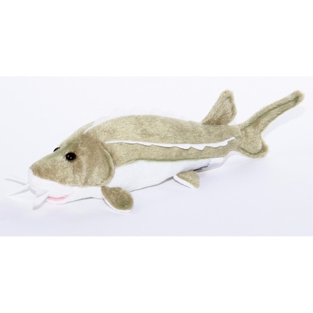 Plush sturgeon fish cuddly toy 25 cm