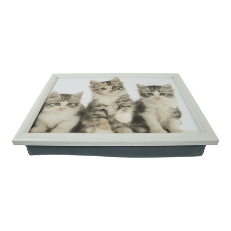 Laptray/schoottafel 3 kat/poes/kittens print 43 x 33 cm
