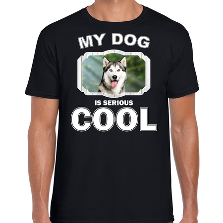 Husky dog t-shirt my dog is serious cool black for men