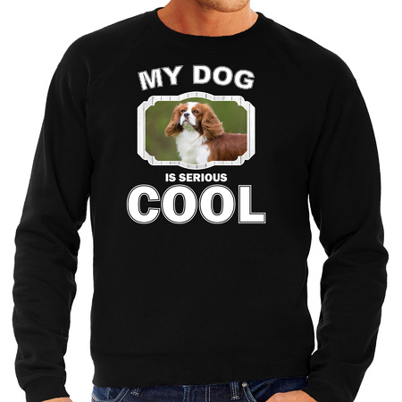 Honden liefhebber trui / sweater Spaniel my dog is serious cool zwart voor heren