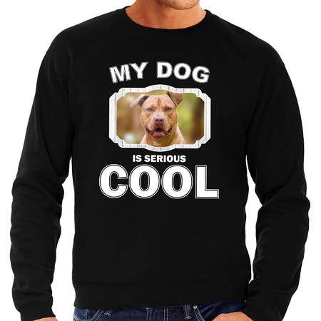 Honden liefhebber trui / sweater Staffordshire bull terrier my dog is serious cool zwart voor heren