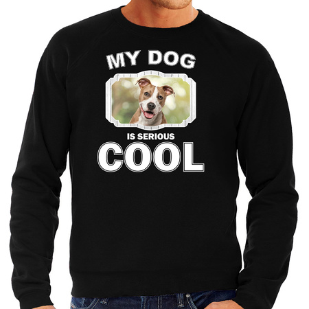 Staffordshire bull terrier dog sweater my dog is serious cool black for men
