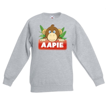 Aapie the monkey sweater grey for children