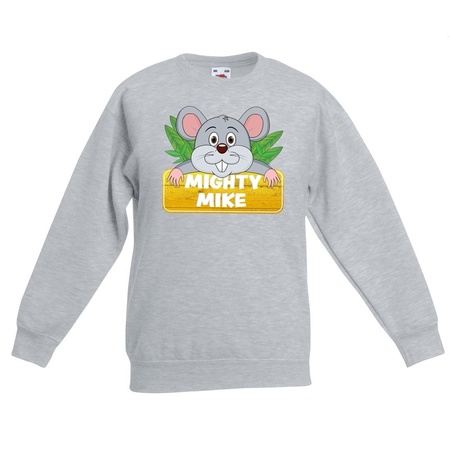 Mighty mike sweater grey for children