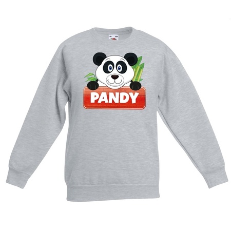 Pandy the panda sweater grey for children