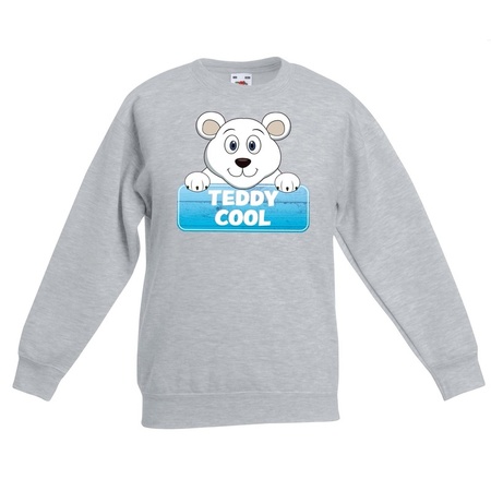 Teddy Cool the polar bear sweater grey for children