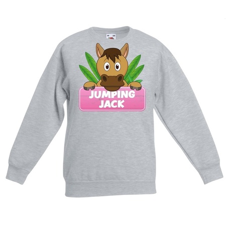 Jumping Jack sweater grey for children
