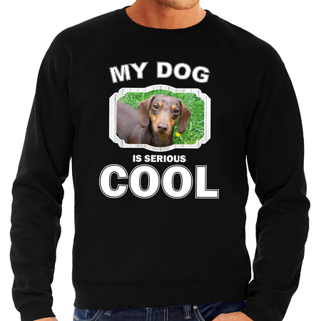 Honden liefhebber trui / sweater Teckel my dog is serious cool zwart voor heren