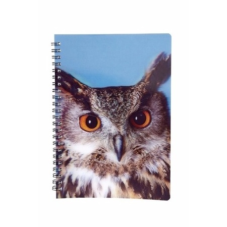 Owls notebook 3D 21cm
