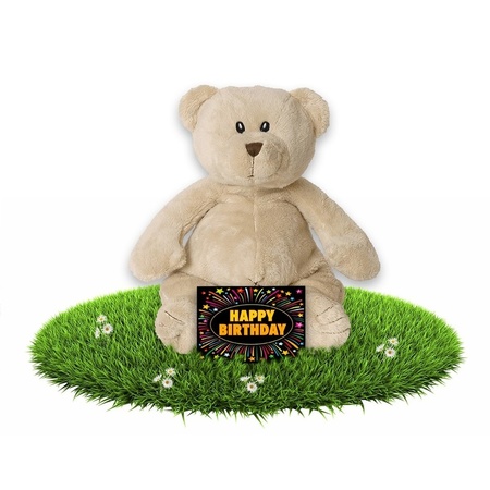 Verjaardagscadeau knuffel beer 17 cm met gratis wenskaart