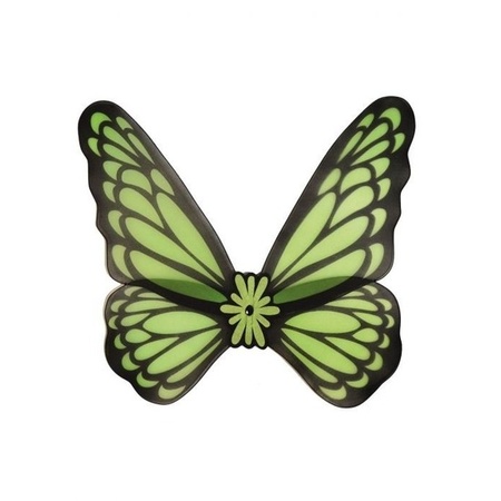 Verkleed vleugels vlinder groen volwassenen