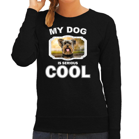 York shire terrier dog sweater my dog is serious cool black for women
